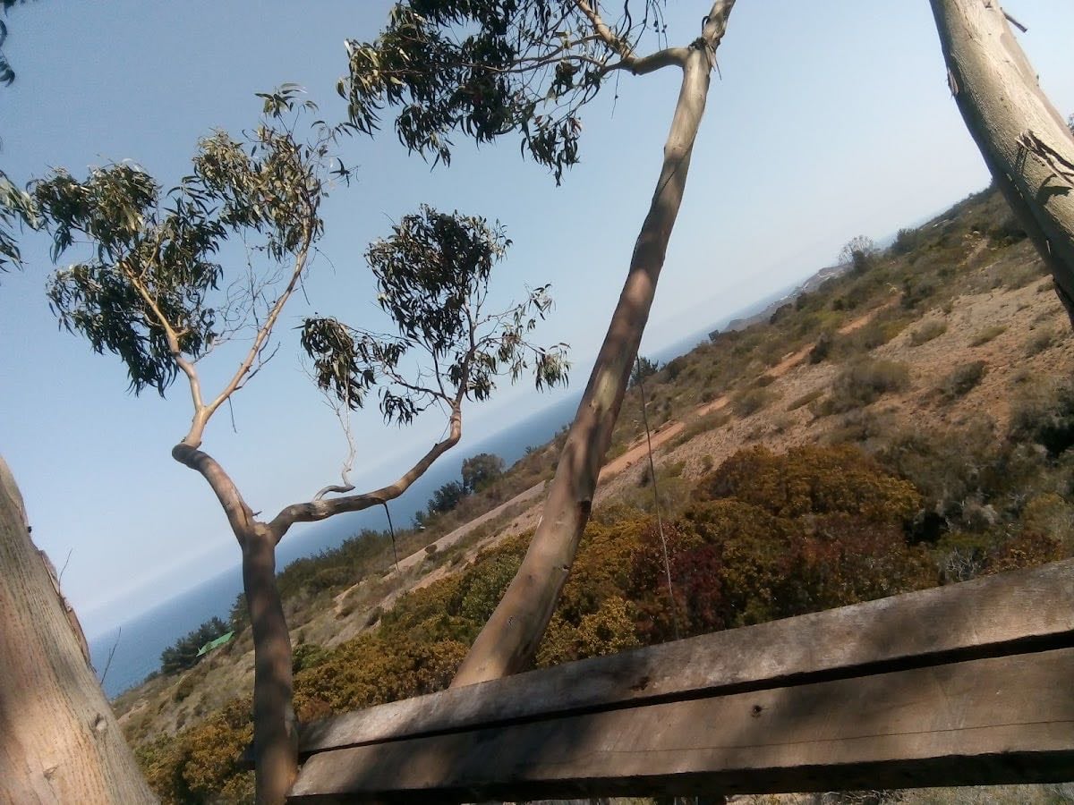 Tunquen