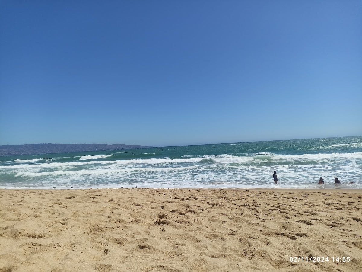Playa Reñaca (Sector 4)