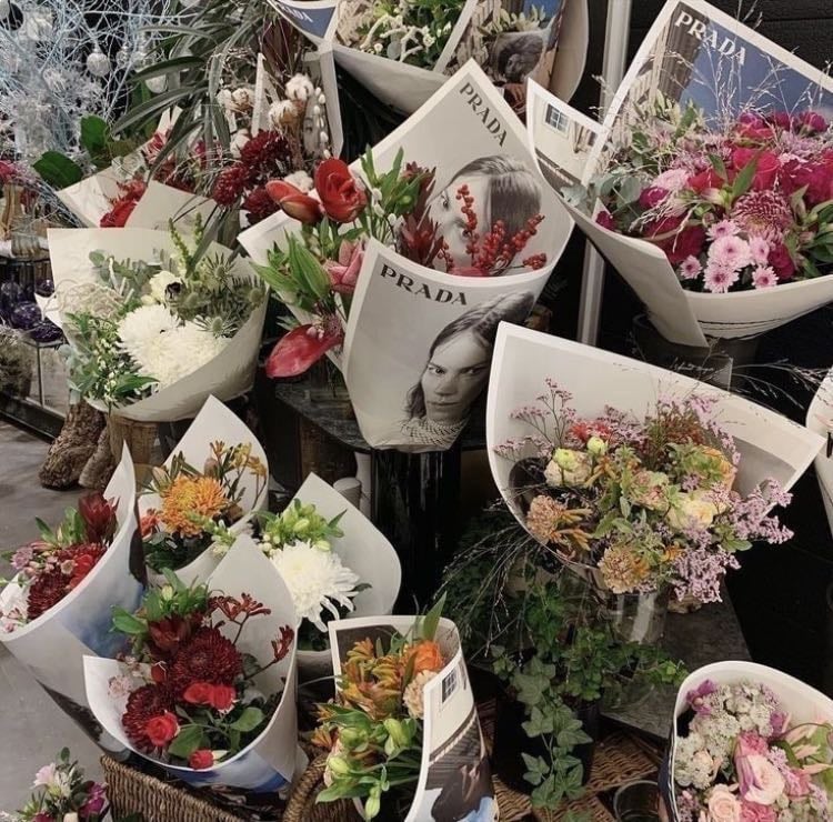 fav flowers ⊱ ۫ ׅ ✧