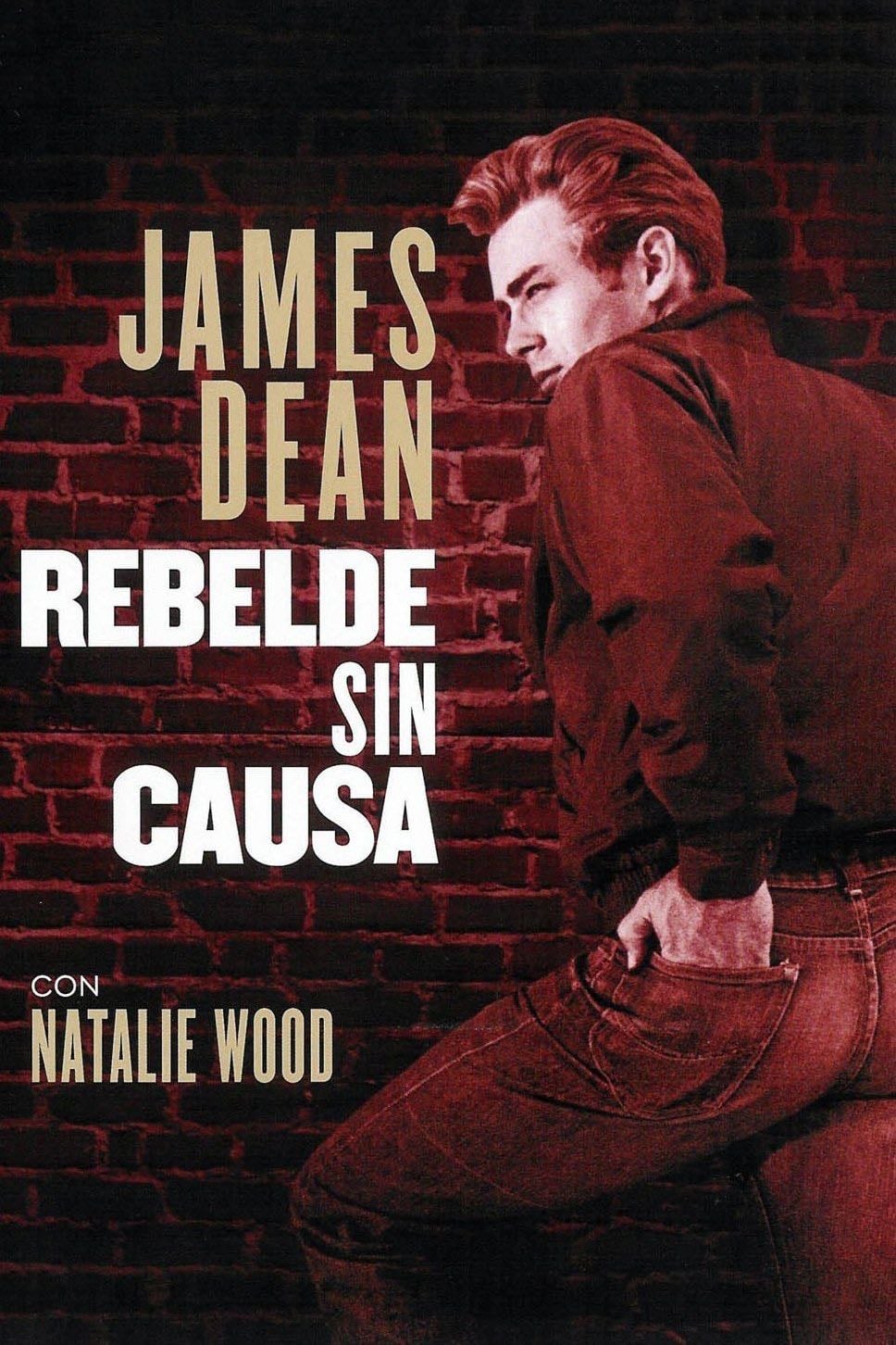Rebel Without a Cause - Nicholas Ray · 1955
