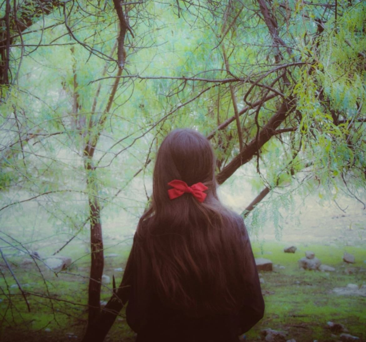 Whimsy