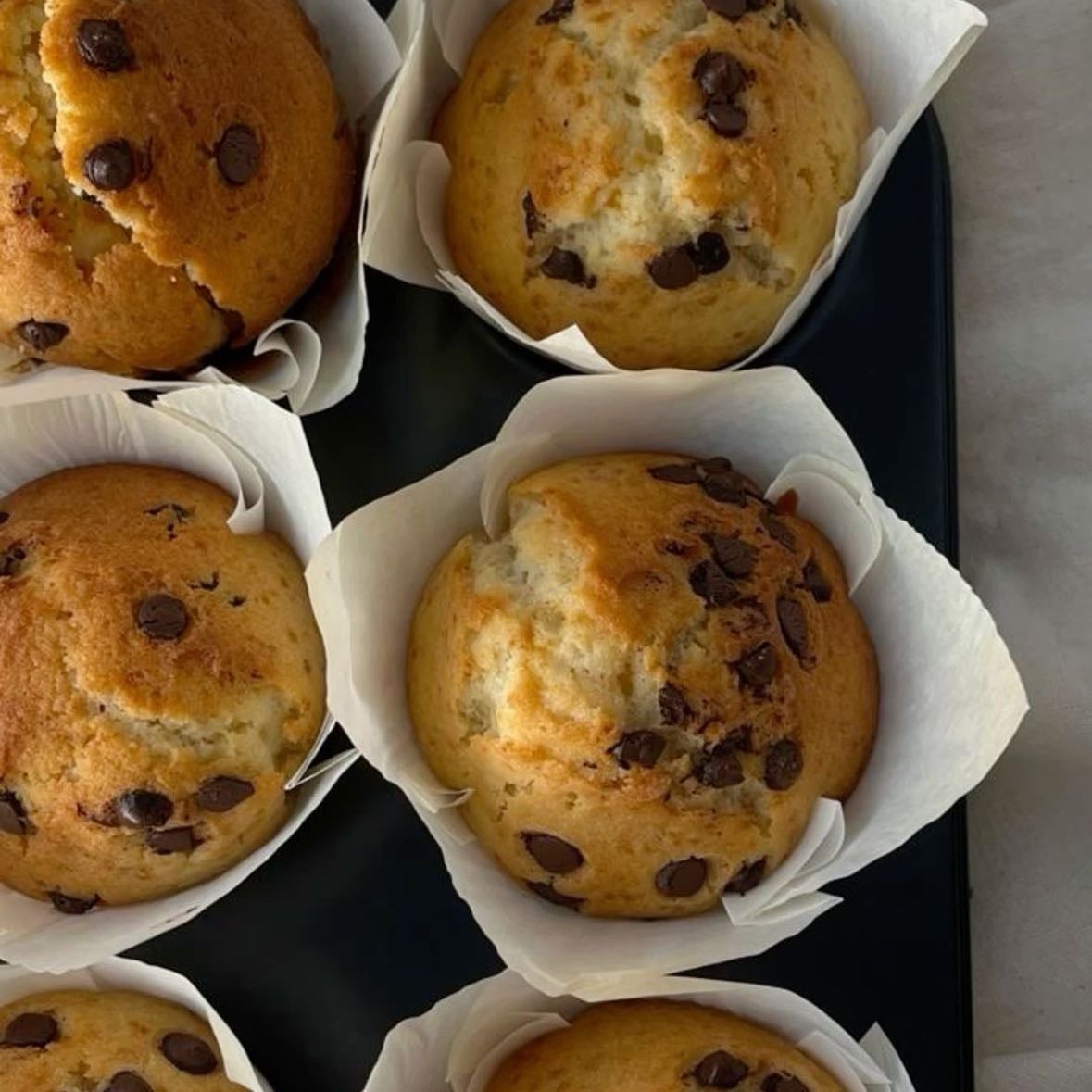 muffins chocolate chips