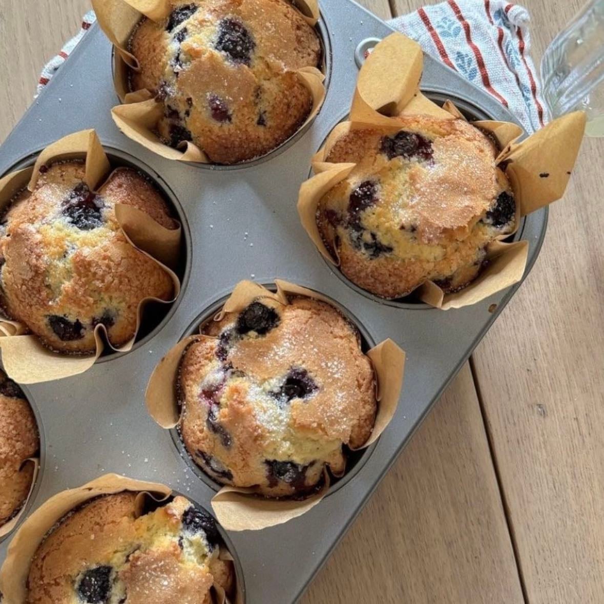 blueberry muffins