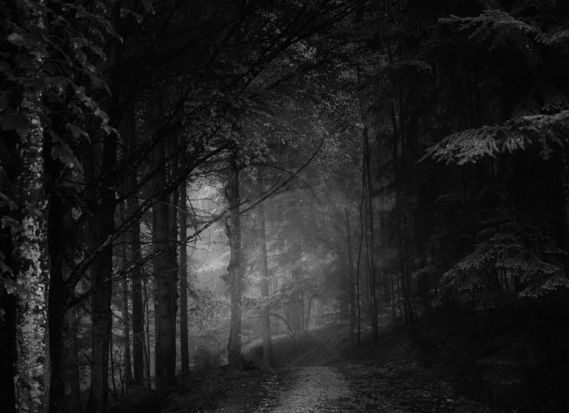 Dark romance, books