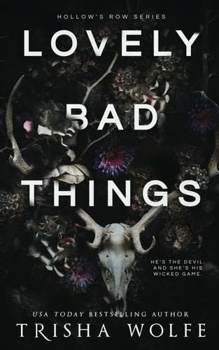 Lovely Bad Things: (Hollow's Row Book 1) - Trisha Wolfe · 2022
