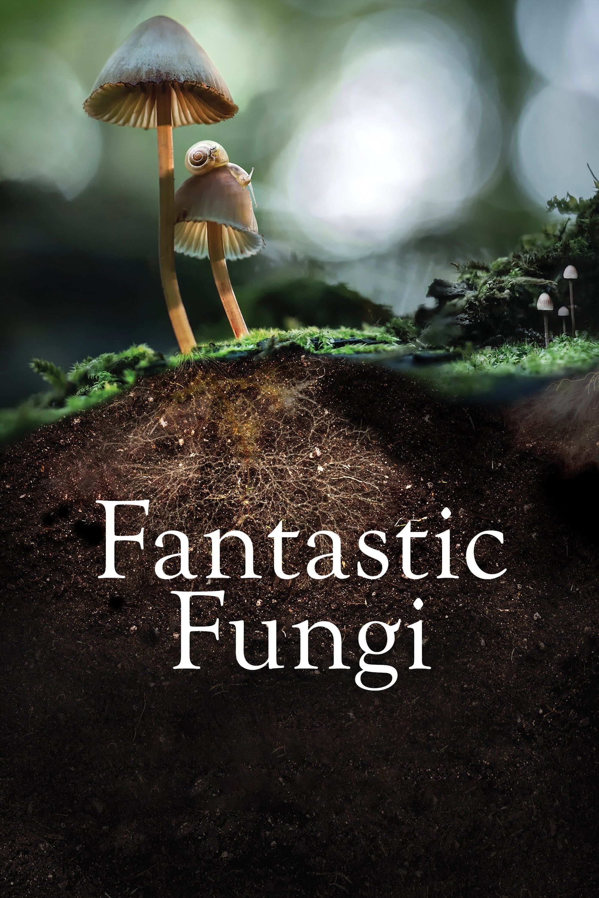 Hongos fantásticos - Louie Schwartzberg · 2019
