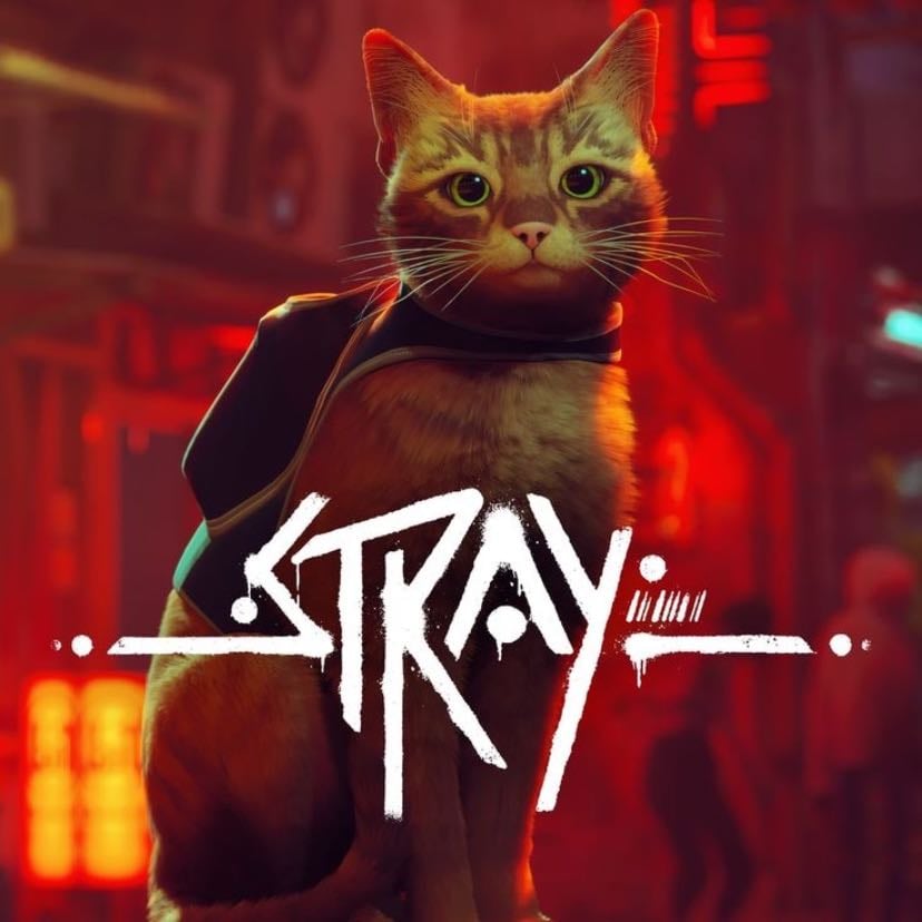 Stray - BlueTwelve Studio • 2022