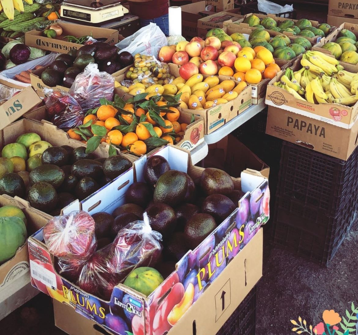 Art, Culture, Food Honolulu - Places hypelist by jos