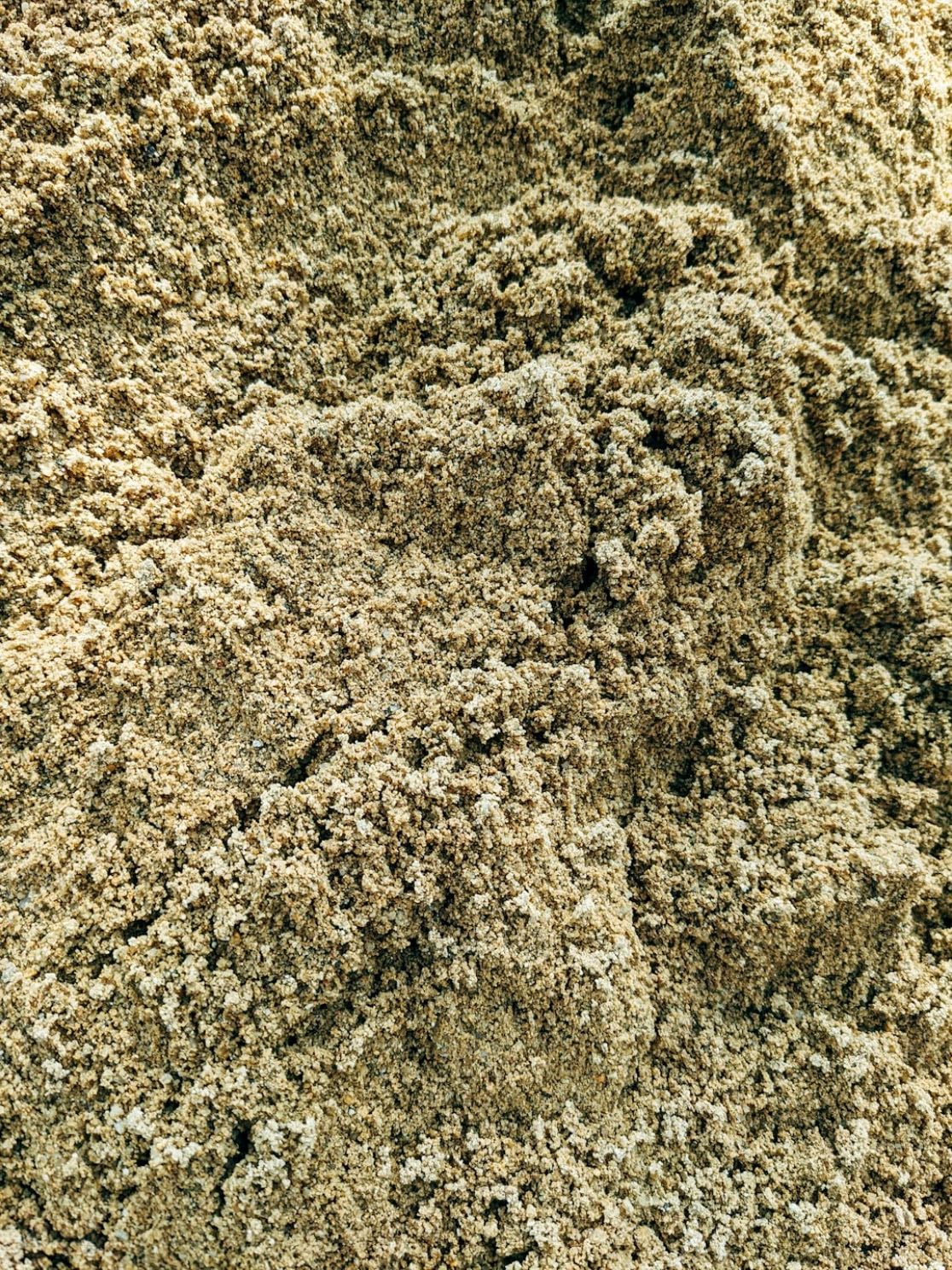 Ginger Powder