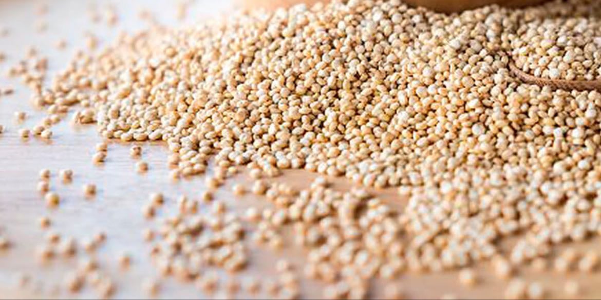 Quinoa