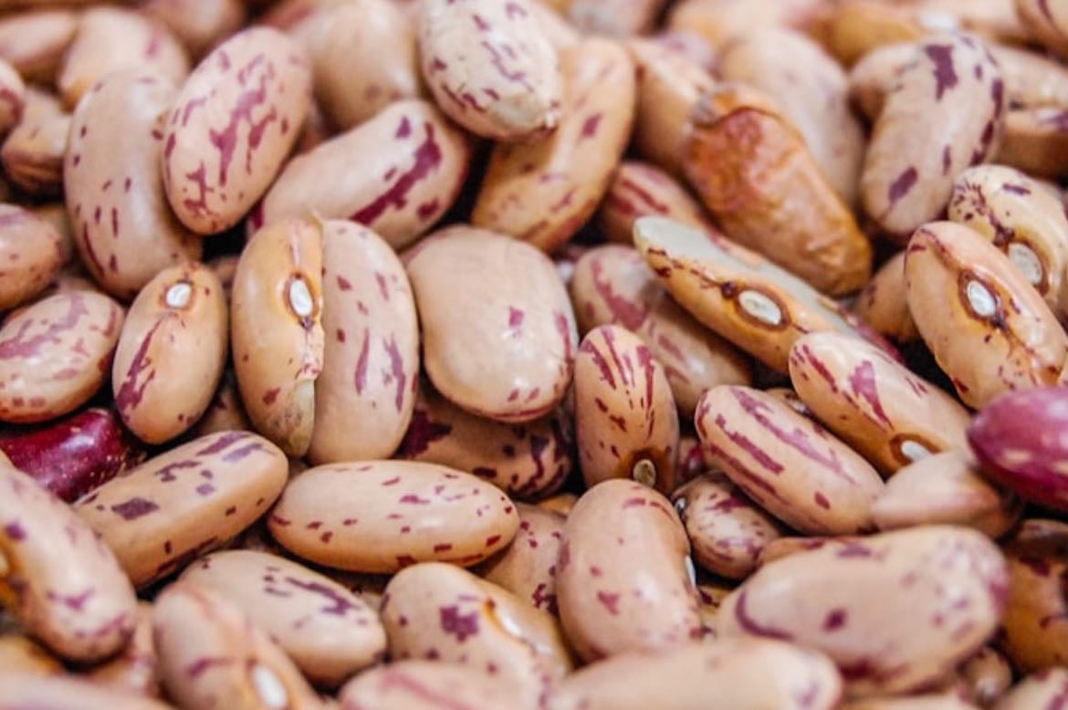 Pinto Beans