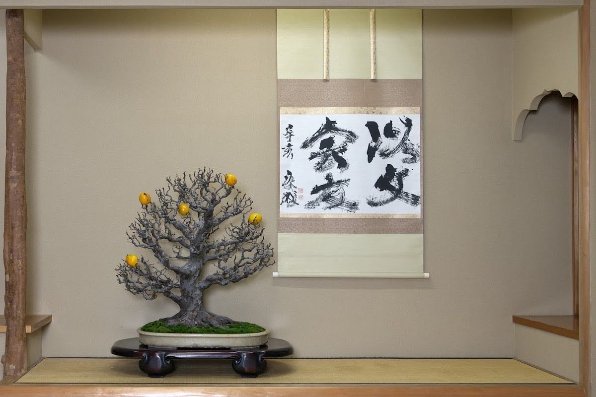Shunkaen Bonsai Museum - Bonsai creation & tea ceremony