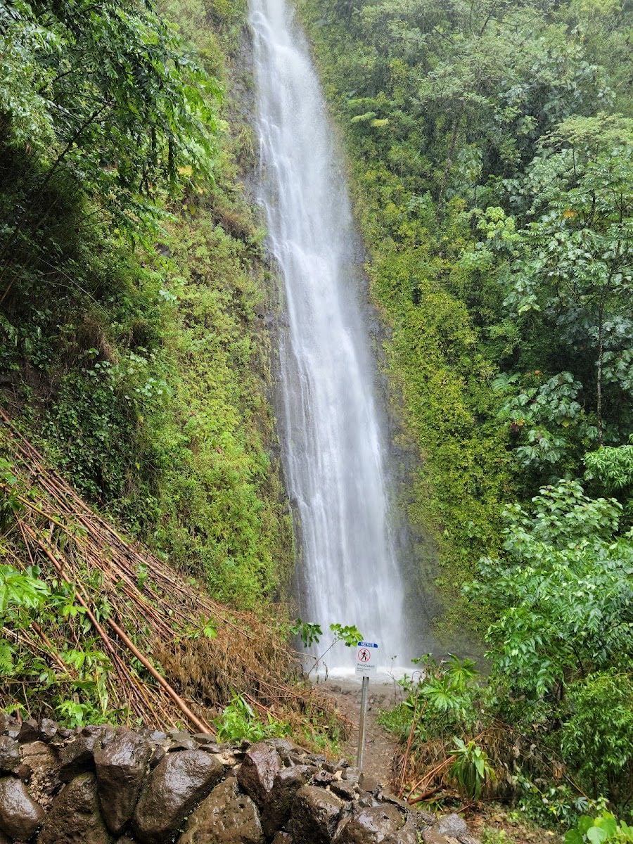 Mānoa Falls Trail