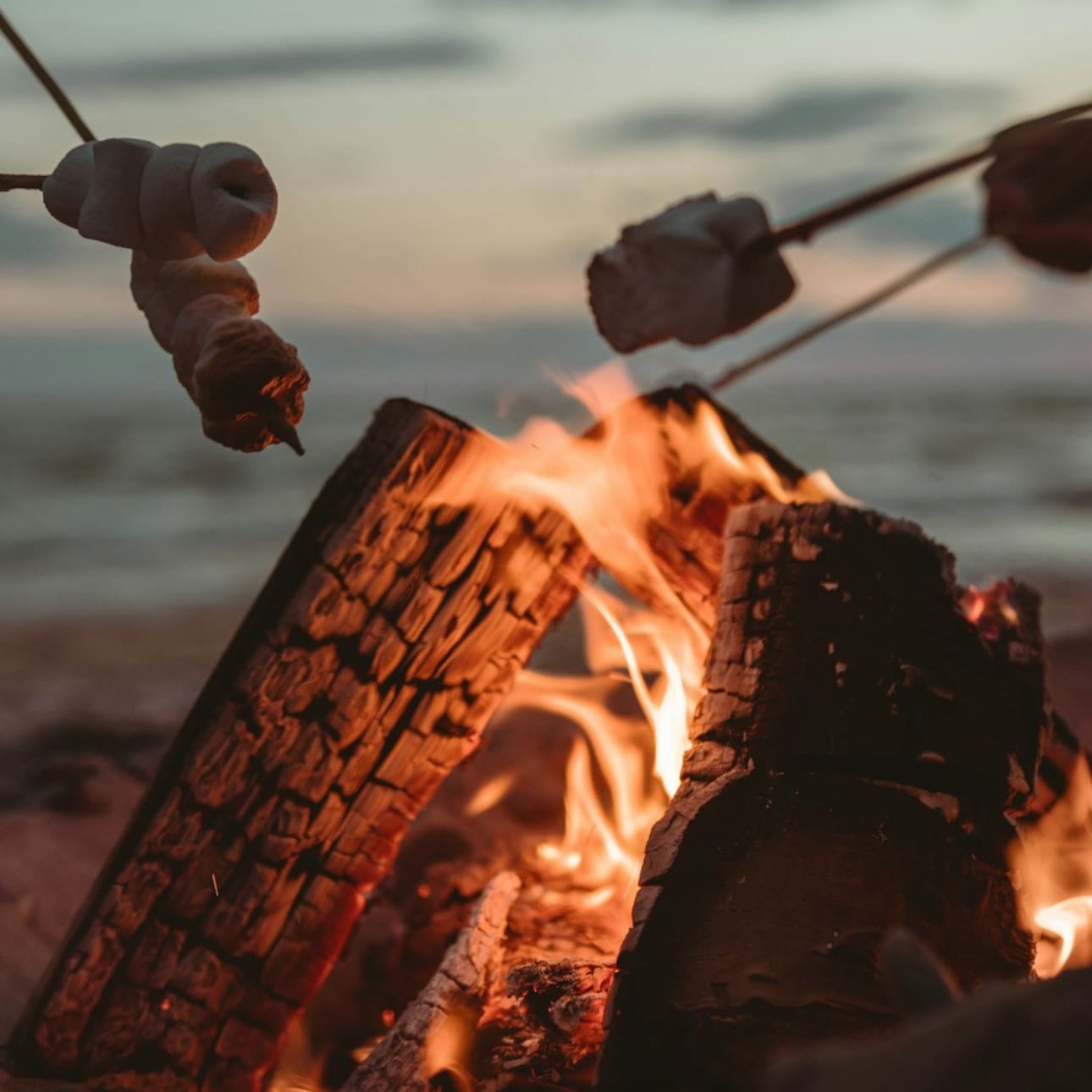 Beach Bonfire