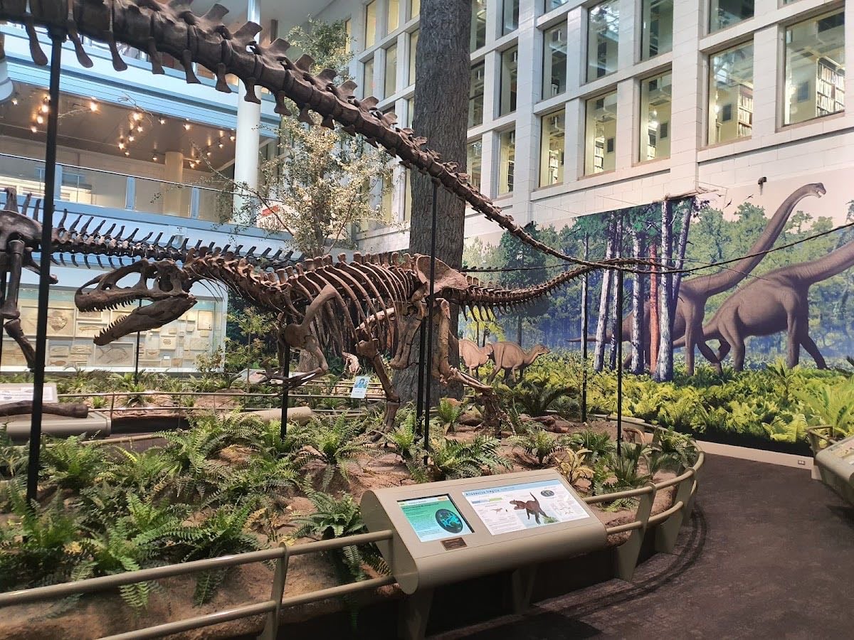 Carnegie Museum of Natural History