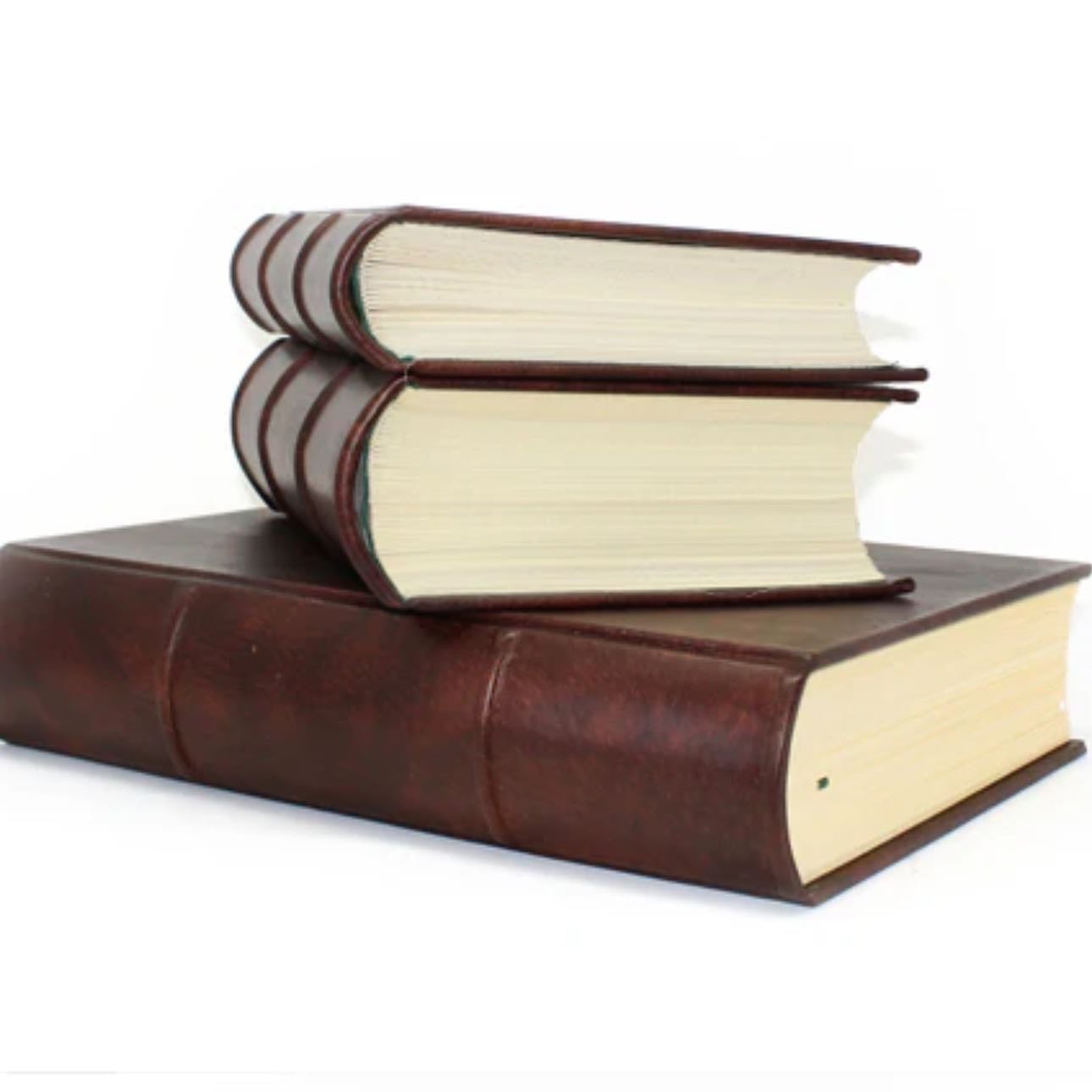 The Worldβs Thickest Italian Leather Journal - by Epica