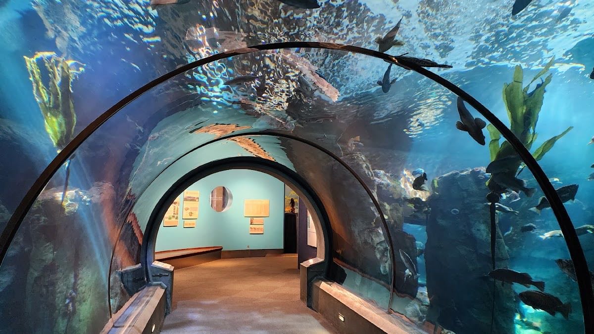 Oregon Coast Aquarium
