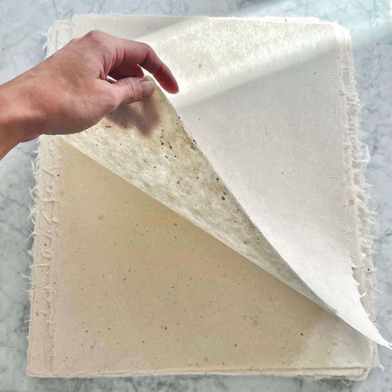 Sun Bleached Gold Kozo (16βx20β) - by Share Studios