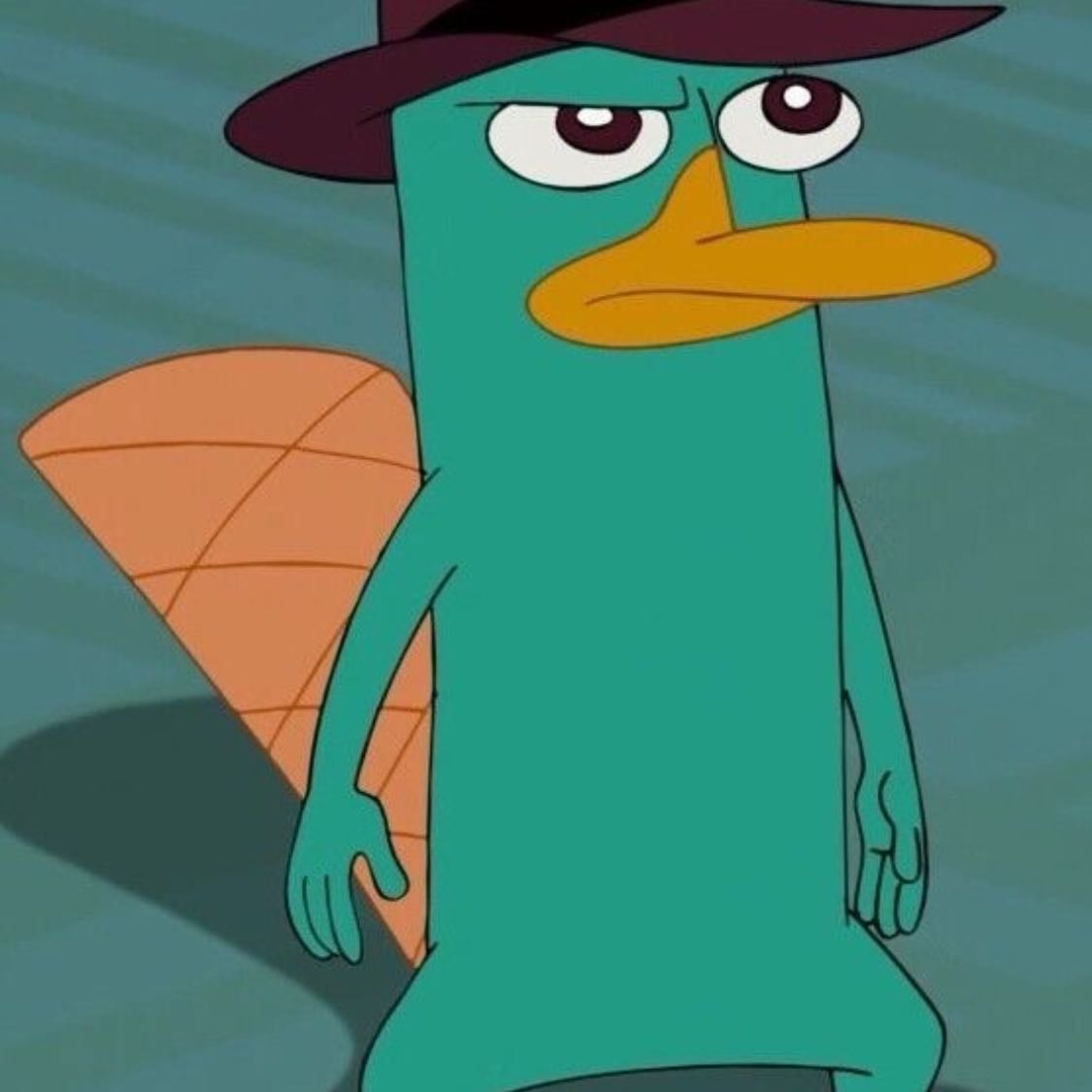 Perry el ornitorrinco - Phineas y ferb