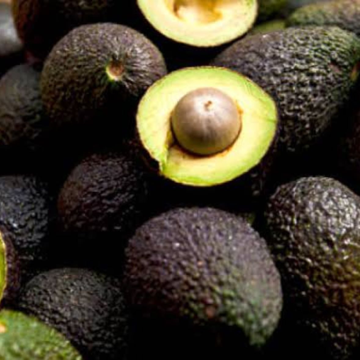 Aguacate - -