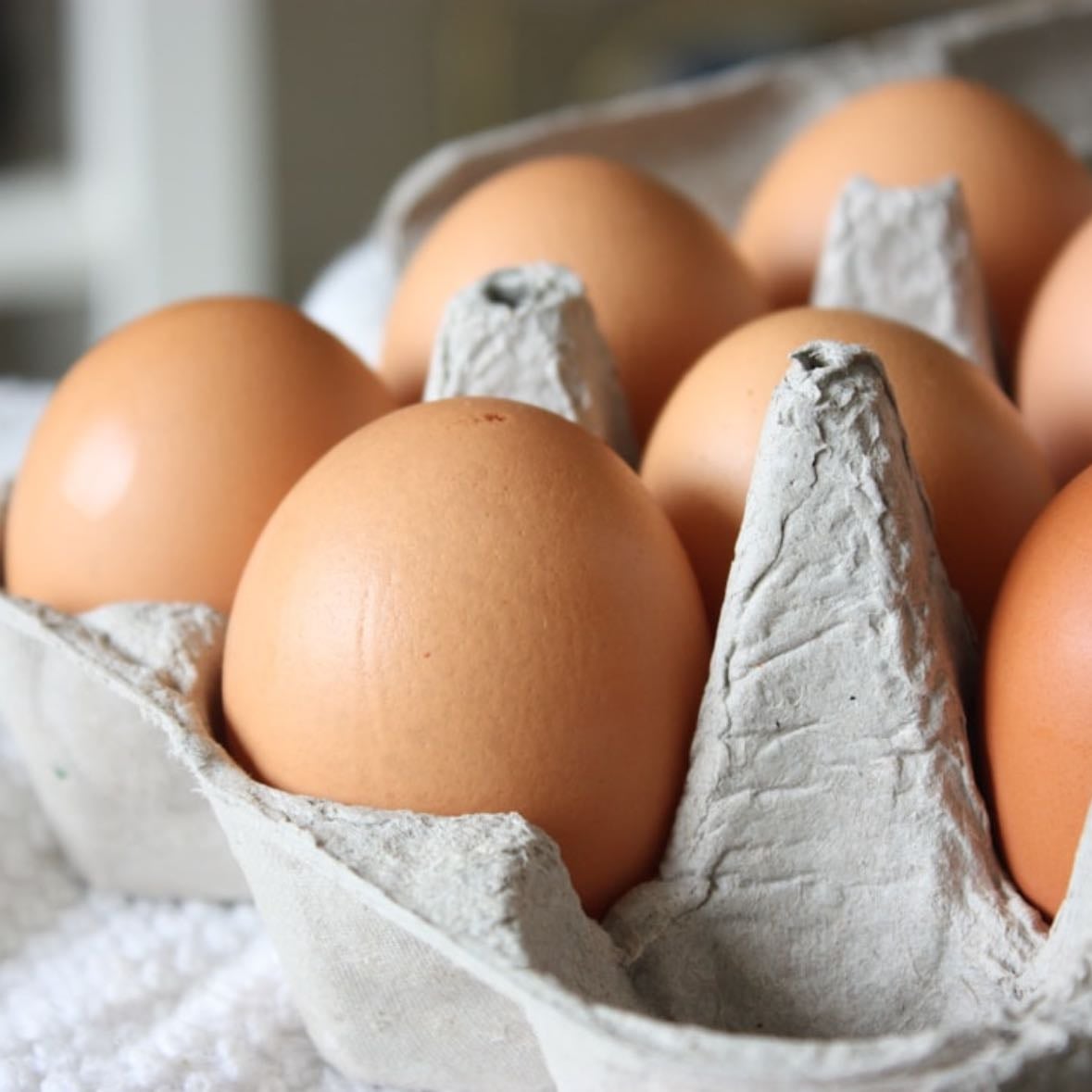 eggs