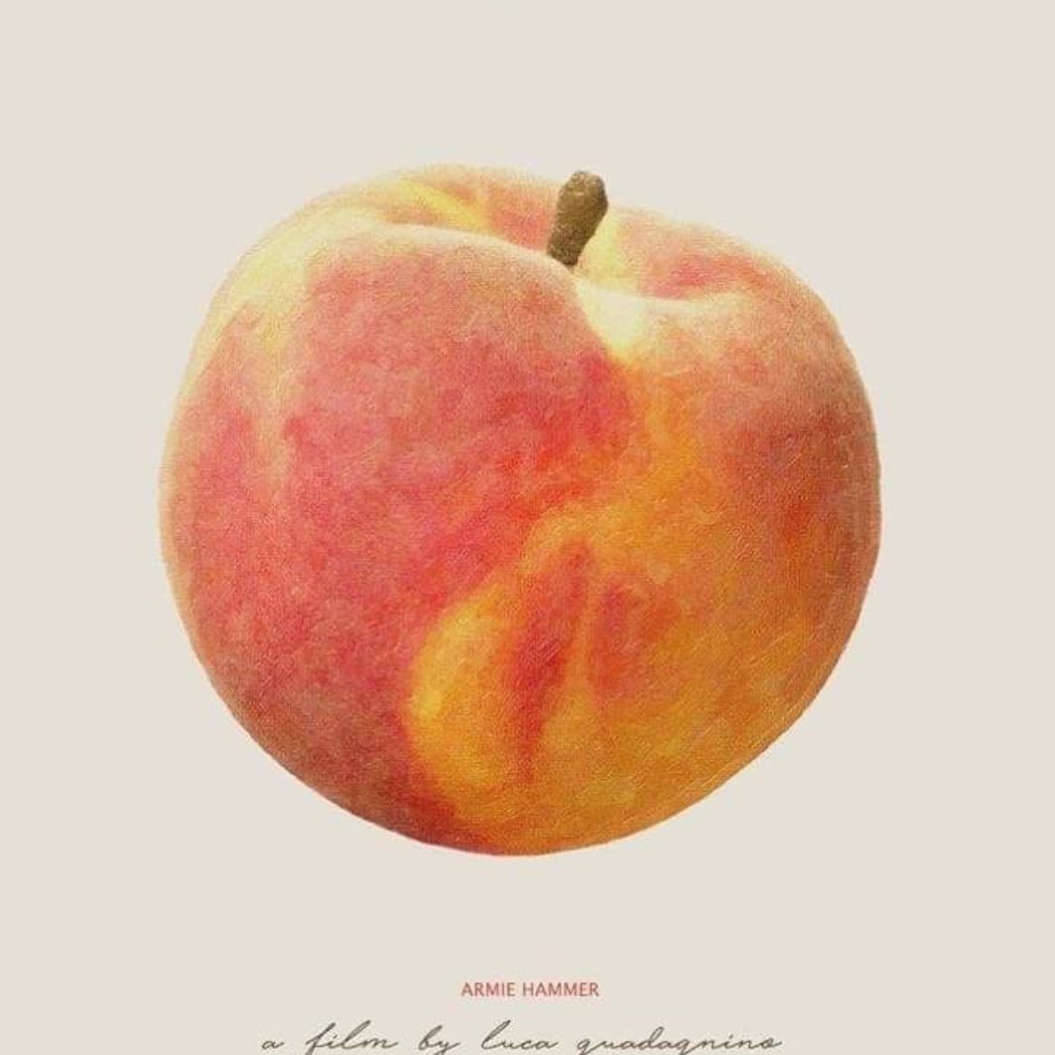 Call Me by Your Name: A Novel - Andrรฉ Aciman ยท 2017