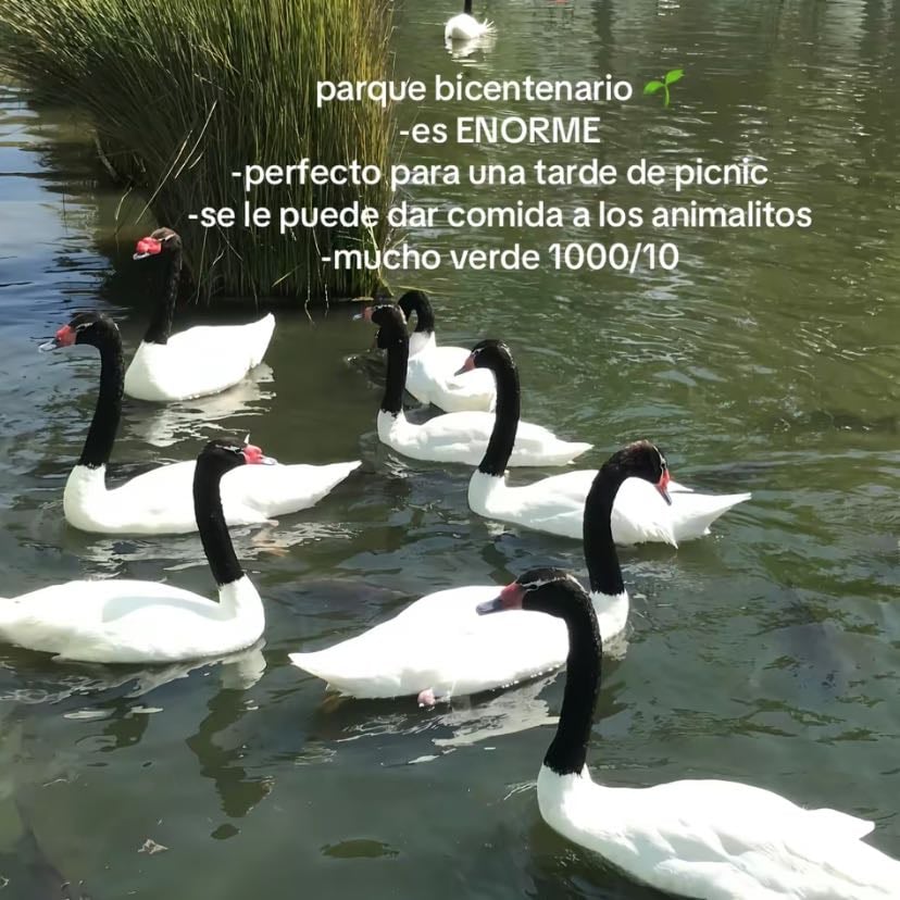 Parque bicentenario ideal para una cita