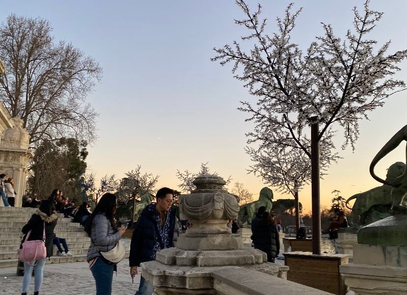 madrid - Places hypelist by dominga larenas