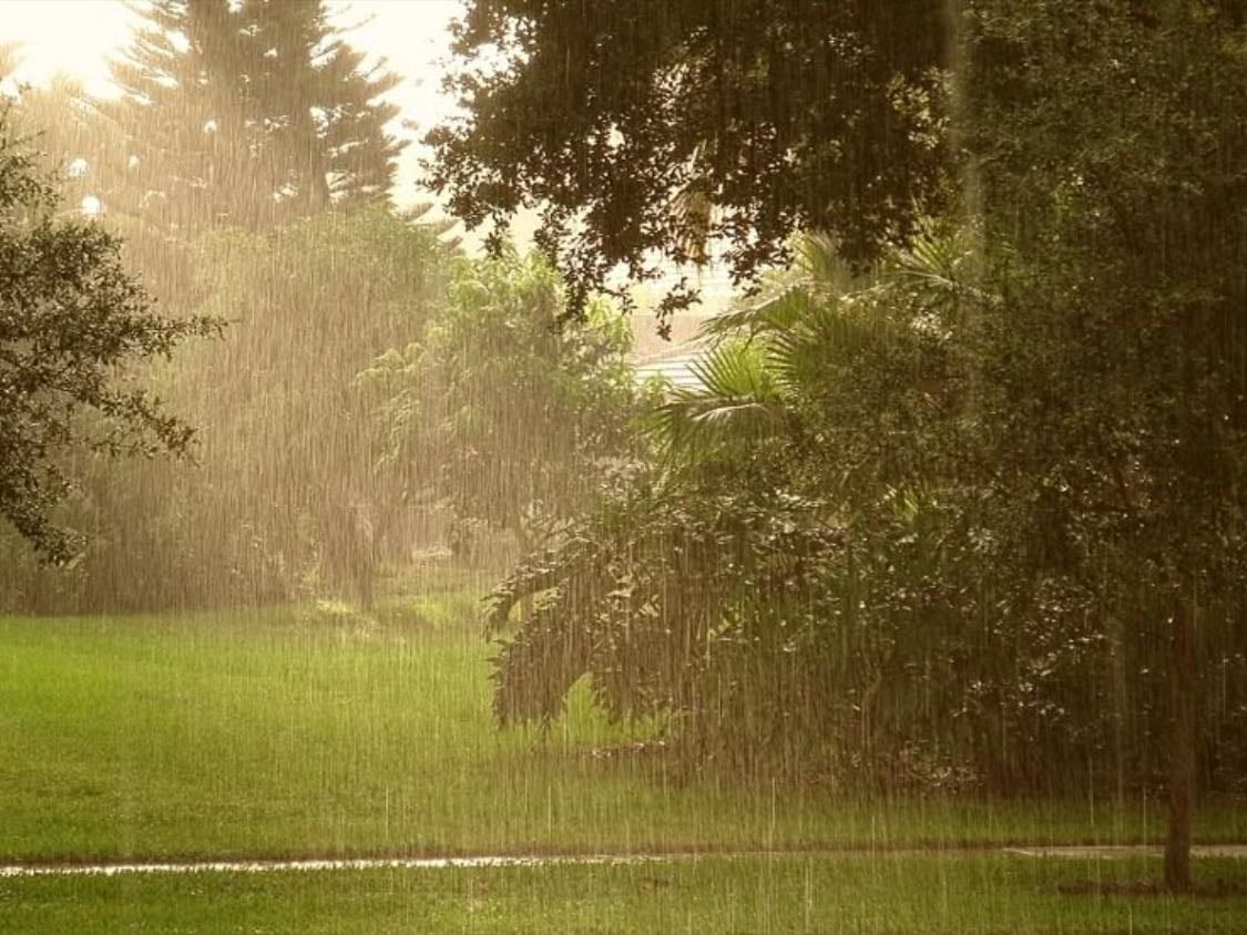 Summer rain - Going out in the rain without being cold is so freeing