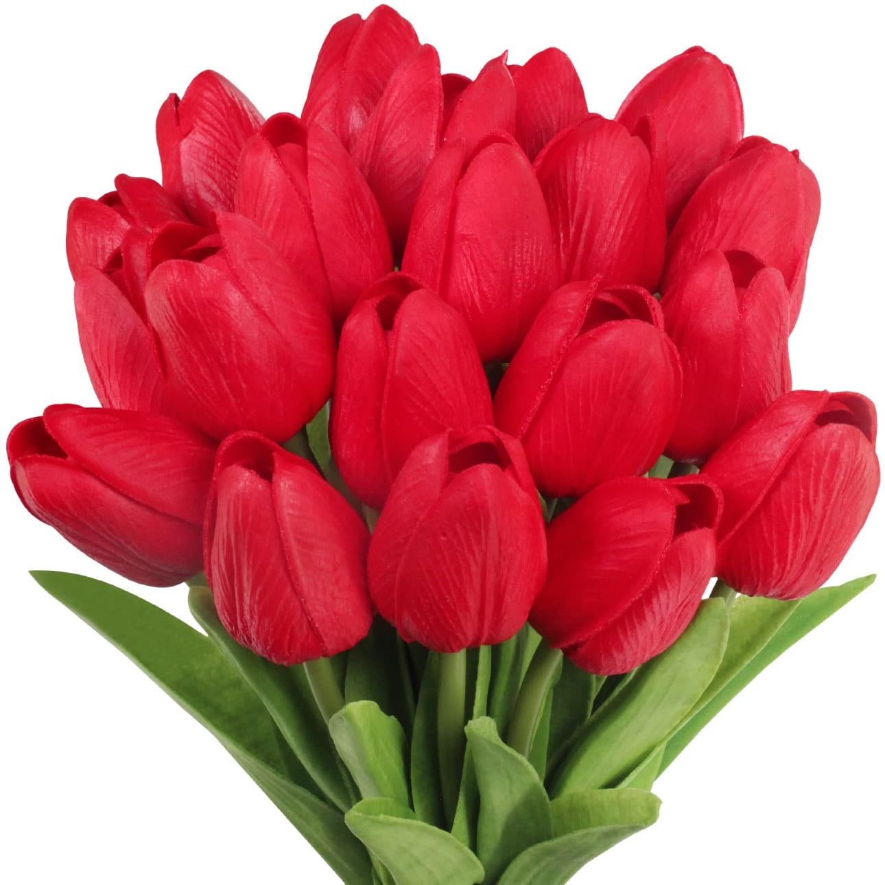 Tulipán
