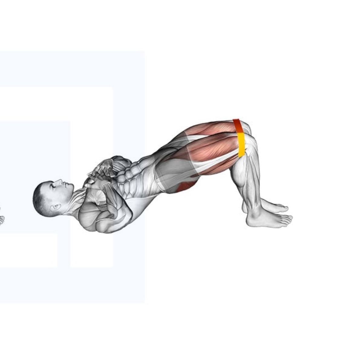 Glute Bridges (banded)