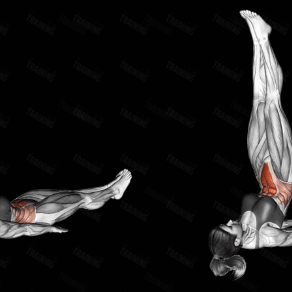 Reverse Crunches - 3x15 - No band