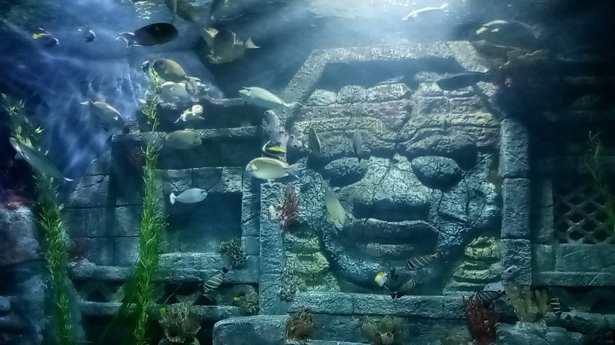Downtown Aquarium - Aquarium