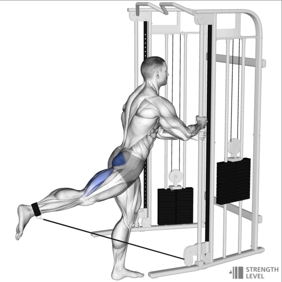 Cable Kickbacks - Reps per leg