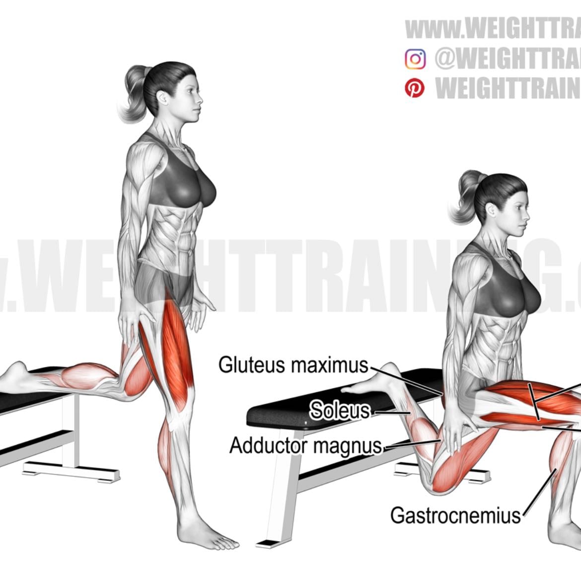 Bulgarian Split Squats - (Reps per leg)