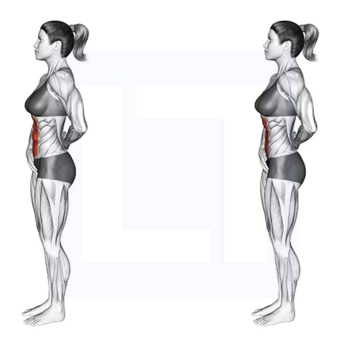 Stomach Vacuums - 3x30 sec
