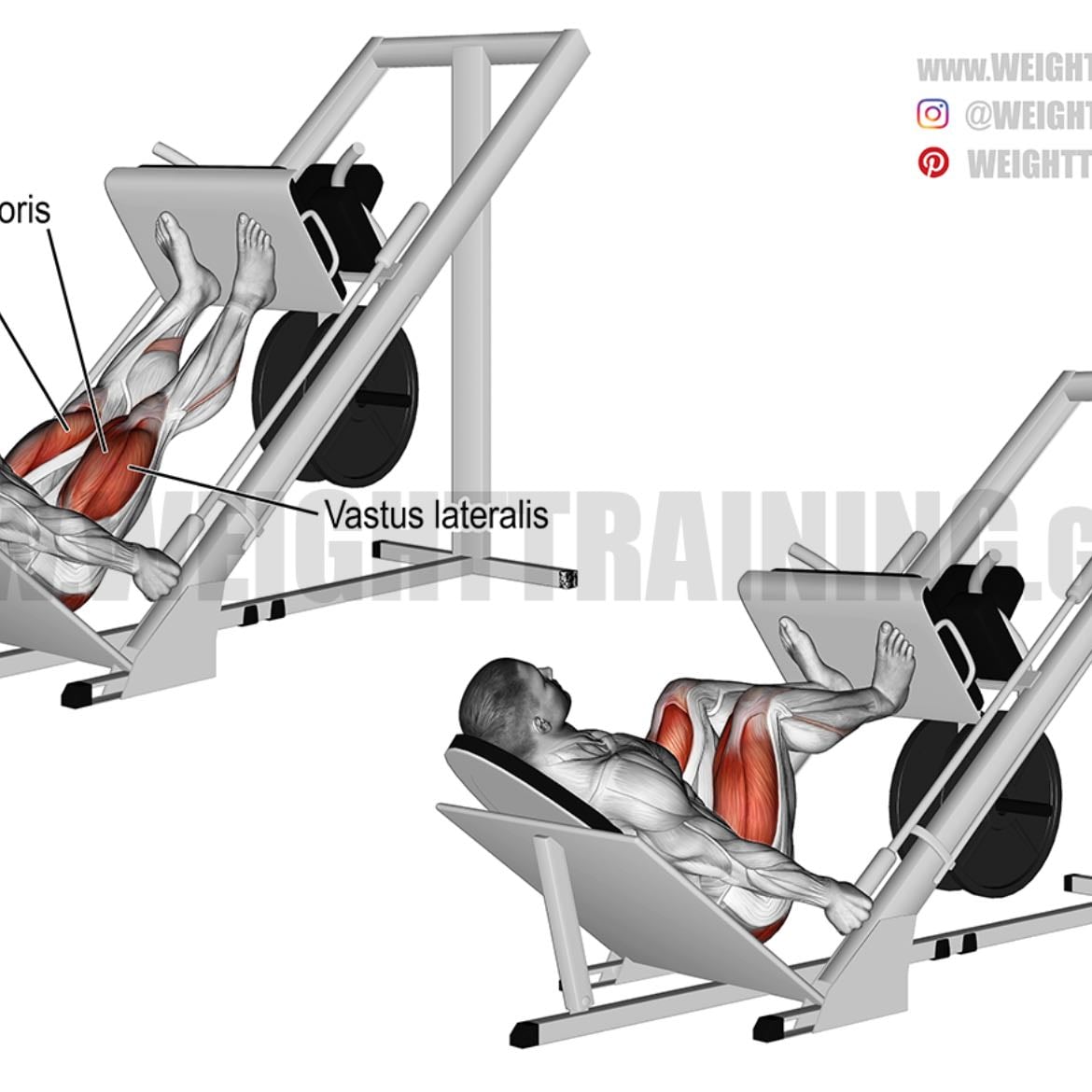 Leg Press