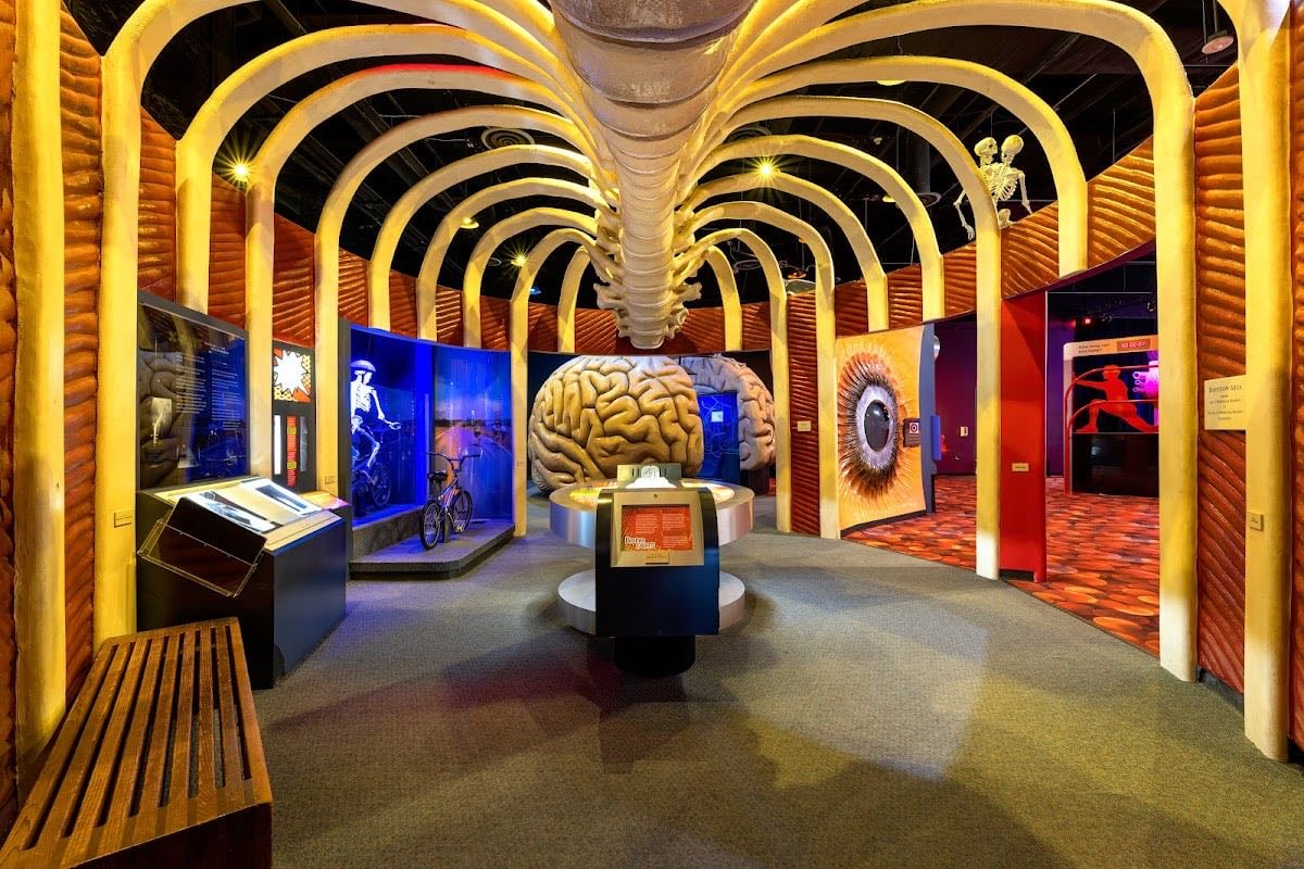 The Health Museum