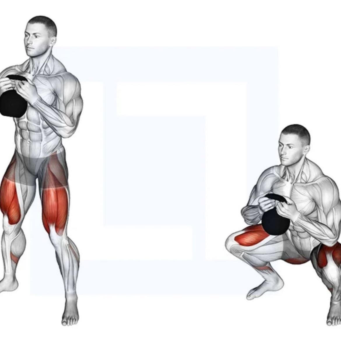 Sumo Squats