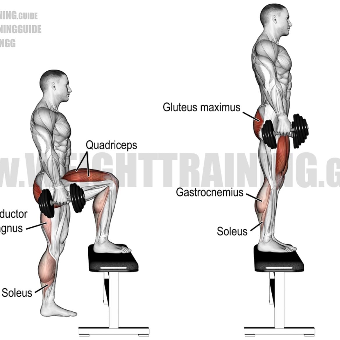 Step-Ups (weighted)