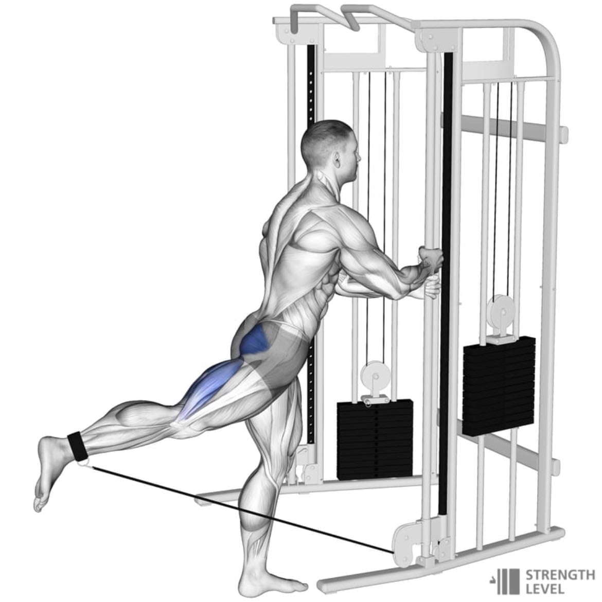 Cable Kickbacks - Reps per leg