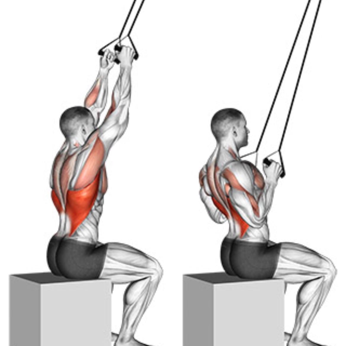 Resistance Band Lat Pull-Downs