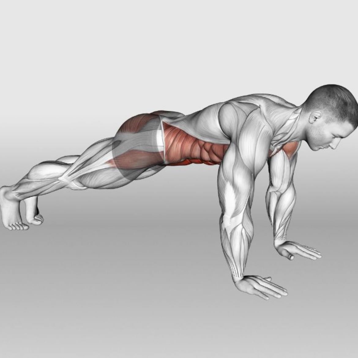 Plank Hold - 3x30 secs