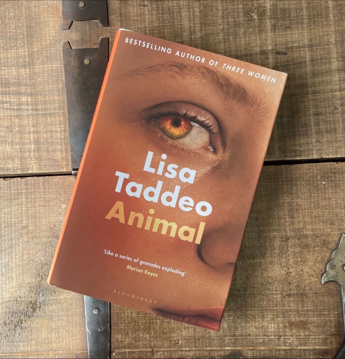 Animal - Lisa Taddeo