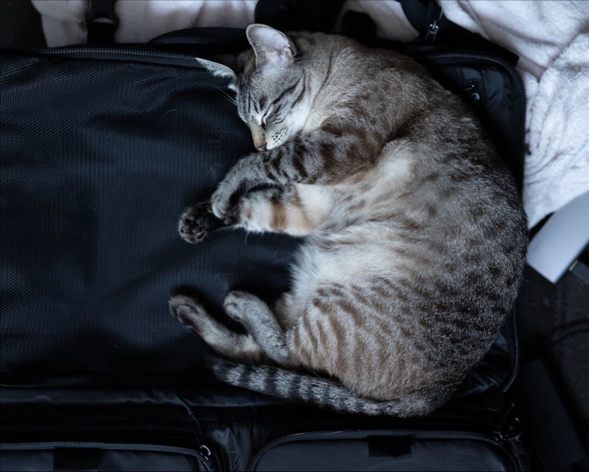 luggage keeper.