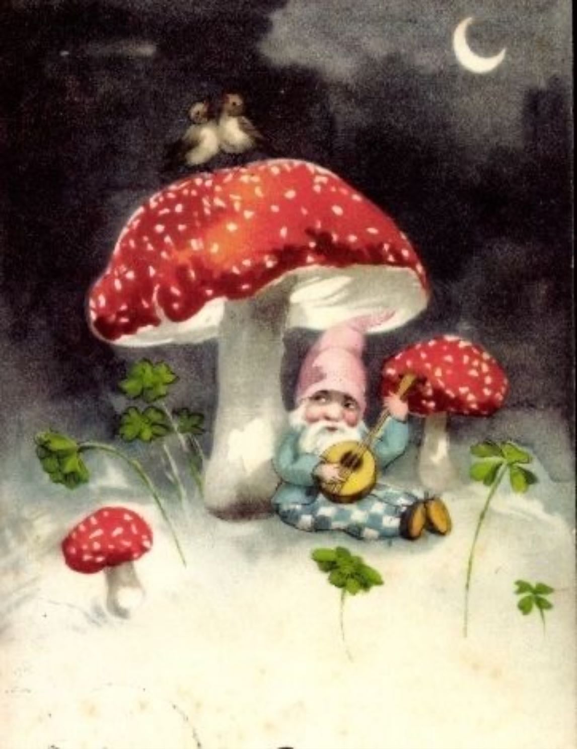 gnome and mushroom