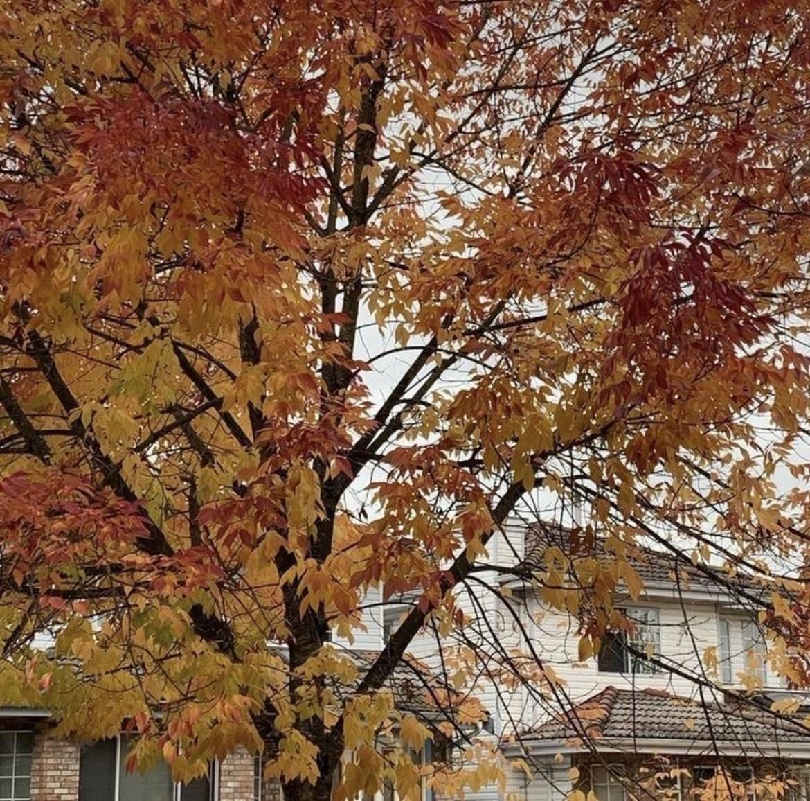 October