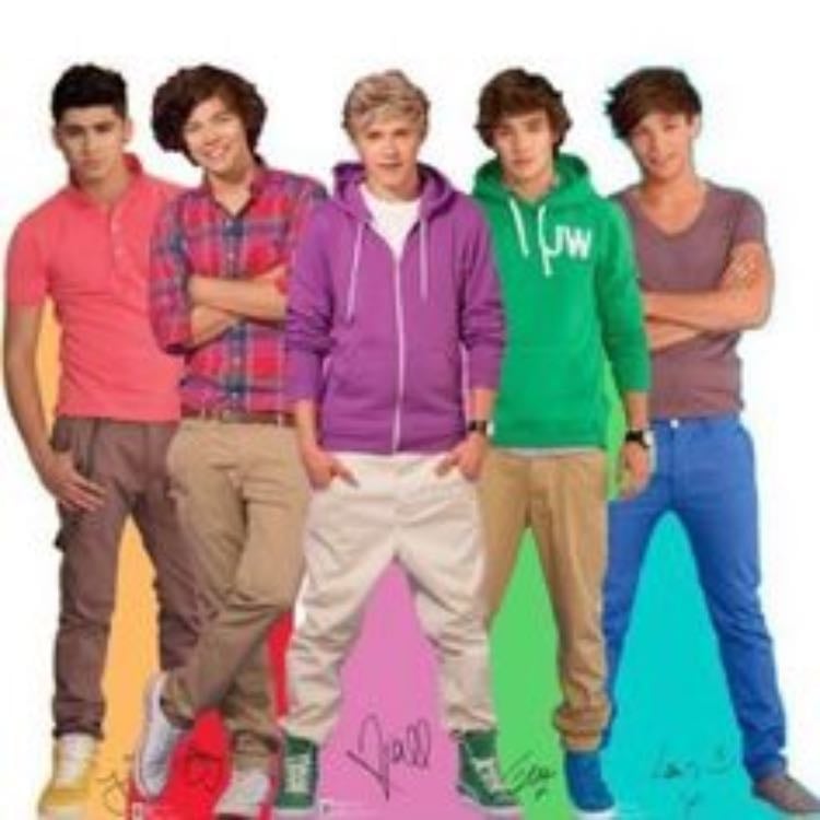 cardboard cutouts of 1D. - do I need to say anything else.
