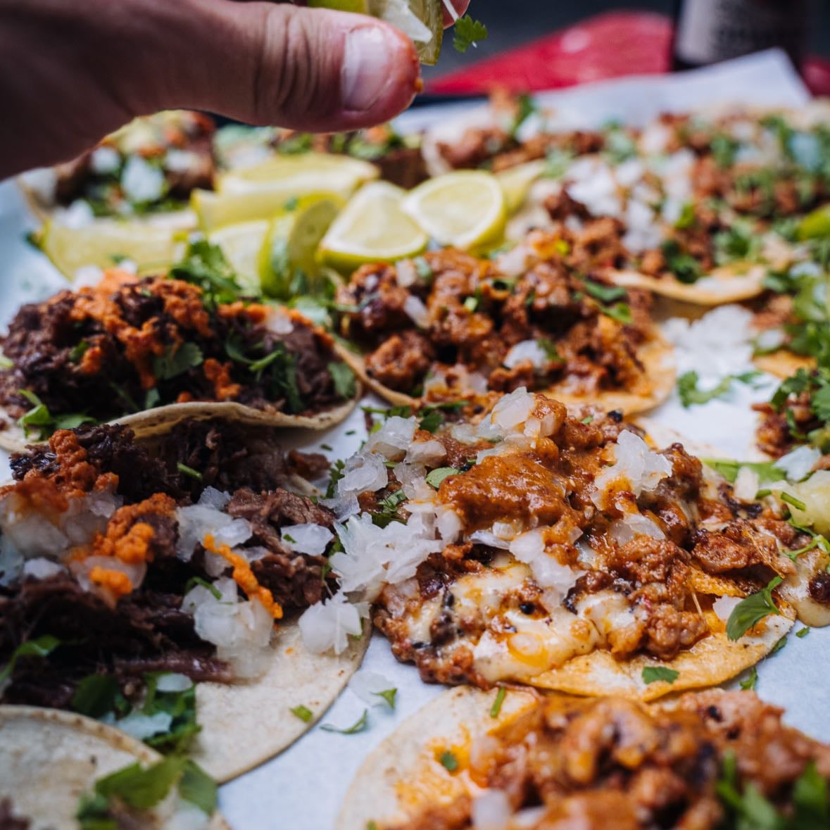 Taqueria El Oso - Mexican