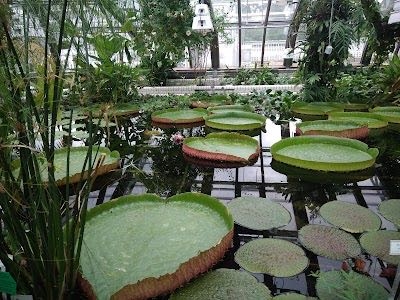 Botanischer Garten und Botanisches Museum
